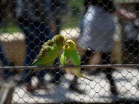 RAW 2015-05-24 13 41