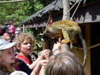 RAW 2015-05-24 13 48