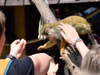 RAW 2015-05-24 13 48 02