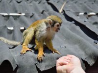 RAW 2015-05-24 13 49 01