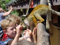 RAW 2015-05-24 13 49 02