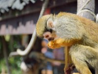 RAW 2015-05-24 13 49 04