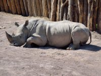 RAW 2015-05-24 16 05