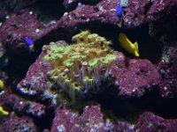 RAW 2015-05-24 16 48