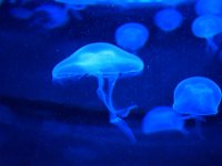 RAW 2015-05-24 17 04