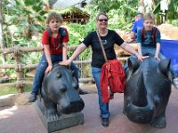 RAW 2015-05-24 17 20 01