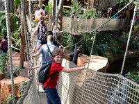 RAW 2015-05-24 17 22