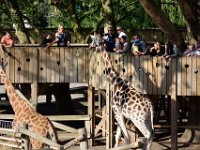 RAW 2015-05-24 18 50