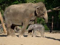 RAW 2015-05-24 18 55 06