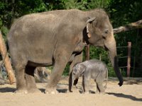 RAW 2015-05-24 18 55 07