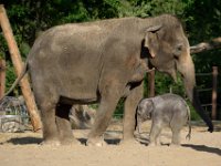 RAW 2015-05-24 18 55 09