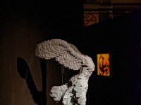 RAW 2015-07-28 11 43 01 DxO