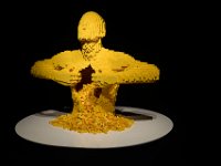 RAW 2015-07-28 11 53 02