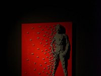 RAW 2015-07-28 11 55 03 DxO