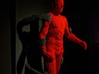 RAW 2015-07-28 11 59 DxO