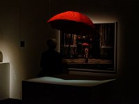 RAW 2015-07-28 12 00 DxO