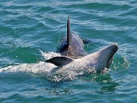 (c) site www.visitsetubal.com