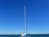 Vertigem Azul - Observação de Golfinhos