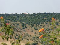 RAW 2016-07-06 17 18 DXO