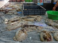 MERCADO DO LIVRAMENTO