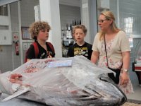 Sétubal - Mercado do Livramento