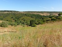 RAW 2016-07-11 11 31 DXO