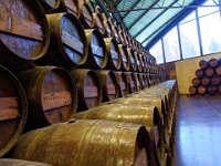 Bacalhôa Vinhos de Portugal