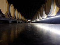 Bacalhôa Vinhos de Portugal