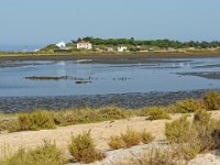 RAW 2016-07-17 19 02 DXO