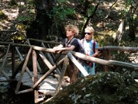 RAW 2015-07-06 09 49 01 : Butterflies Valley Park, Kalythies