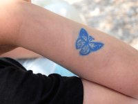 RAW 2015-07-06 10 20 : Butterflies Valley Park, Kalythies