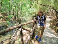 RAW 2015-07-06 11 39 : Butterflies Valley Park, Kalythies