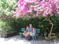 RAW 2015-07-06 11 52 : Butterflies Valley Park, Kalythies