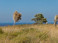 RAW 2015-07-06 15 35 DxO : Kritinia, Site archéologique de Kameiros