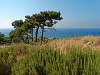 RAW 2015-07-06 15 43 DxO : Kritinia, Site archéologique de Kameiros