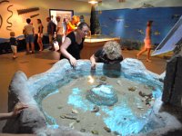 RAW 2015-07-07 09 34 : Aquarium de Rhodes, Rodos