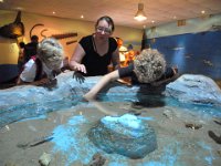 RAW 2015-07-07 09 34 02 : Aquarium de Rhodes, Rodos