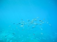 RAW 2015-07-07 14 49 02 : Port de Rhodes, Rodos