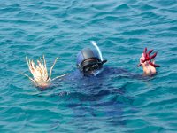 RAW 2015-07-07 15 05 01 : Port de Rhodes, Rodos