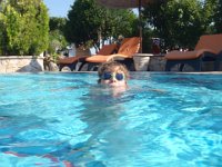 RAW 2015-07-08 07 57 02 : Afantou, Elefteria Apartments