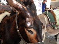 RAW 2015-07-09 10 52 01 : Lindos