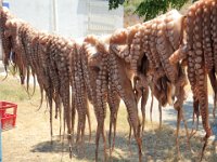 RAW 2015-07-09 11 53 : Fish restaurant Plimmiri