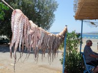 RAW 2015-07-09 12 17 01 : Fish restaurant Plimmiri