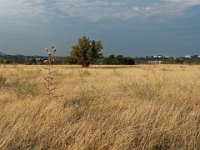 RAW 2015-07-11 17 28 DxO : Afantou, Elefteria Apartments