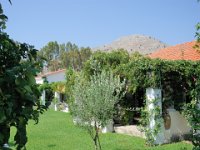 RAW 2015-07-12 09 24 02 : Afantou, Elefteria Apartments