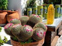 RAW 2015-07-13 10 28 : Kritinia, Siána