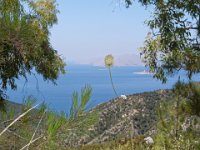 RAW 2015-07-13 11 51 01 DxO : Kritinia, Monólithos