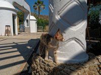 RAW 2015-07-15 10 03 01 DxO : Rodos, Thermes Kalithèa