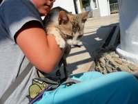 RAW 2015-07-15 10 04 : Rodos, Thermes Kalithèa