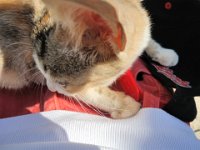 RAW 2015-07-15 10 04 02 : Rodos, Thermes Kalithèa